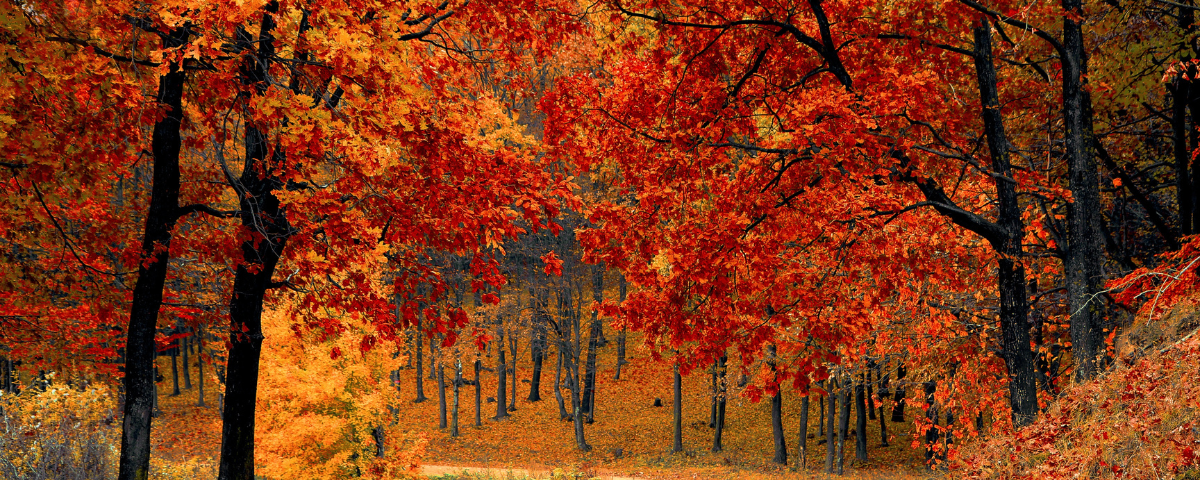 Preparing your business for Autumn